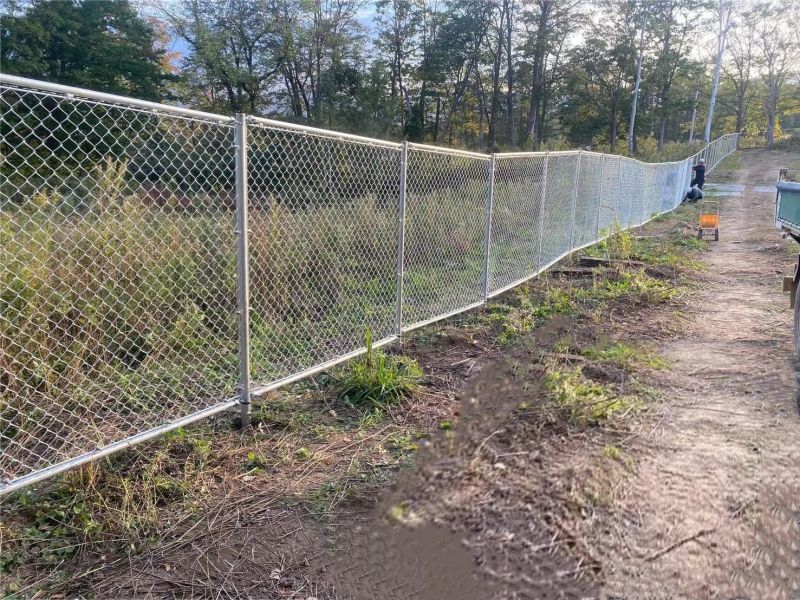 chain link fence (3)