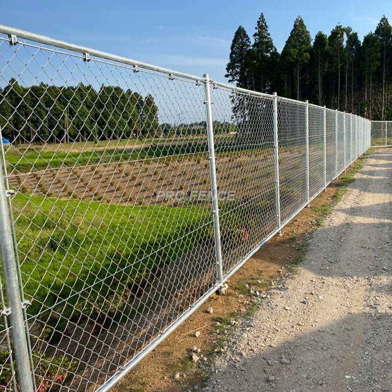 Chain-Link-Fence-Maka-azụmaahịa na ngwa-ebe obibi-2