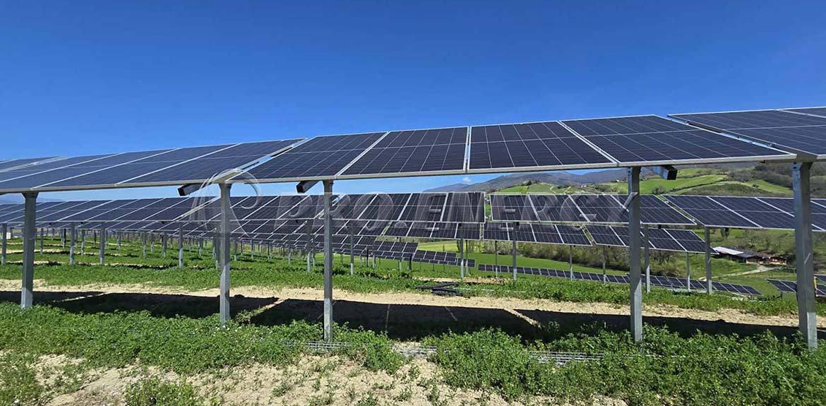 4MW Agrivoltaic Mounting System Solution