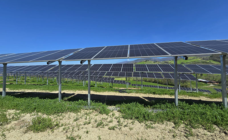 PROFENCE.ENERGY's 4 MWp Photovoltaic-Agricultural System for Vineyards Completed in Italy