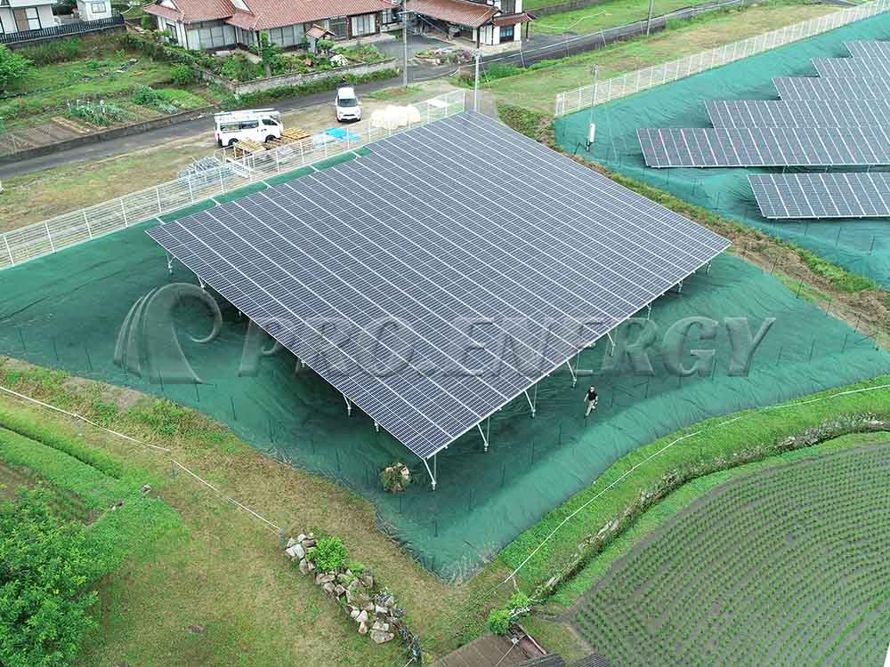 Solar energy system weed growth prevention Solar energy system weed growth prevention